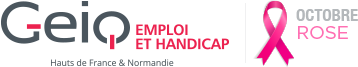 logo Geiq Emploi et Handicap