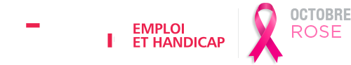 logo Geiq Emploi et Handicap