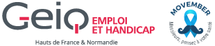 logo Geiq Emploi et Handicap