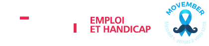 logo Geiq Emploi et Handicap